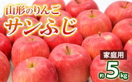 【家庭用】山形のりんご サンふじ 約5kg(10～20個) FY25-128