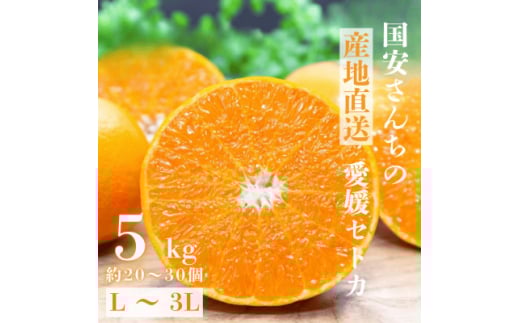 ＜みかんの大トロ＞糖度12.0以上 酸1.4以下 糖酸選別品 愛媛セトカ 5kg＜G20-65＞【1620326】