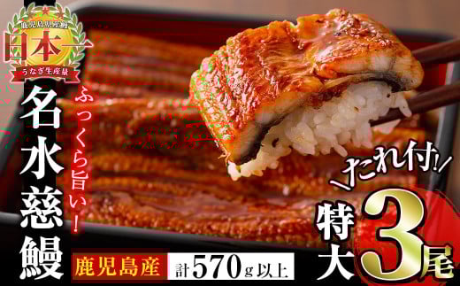 鹿児島県産うなぎ蒲焼 名水慈鰻 特大3尾(1尾190g以上)<計570g以上> うなぎ 鰻 ウナギ 3尾 国産 蒲焼 かばやき 冷凍 真空 真空パック 無頭 うな重 ひつまぶし タレ 山椒 b1-023 425283 - 鹿児島県志布志市