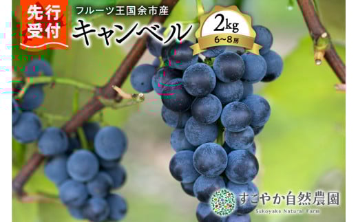 2025年発送【先行予約】令和7年産ぶどう(キャンベル)2kg箱6~8房【すこやか自然農園】 2106534 - 北海道余市町
