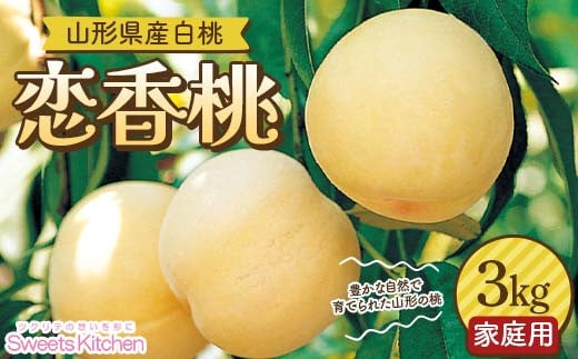 【スイーツキッチン】家庭用 山形県産 白桃 恋香桃(れんかとう) 3kg(15～20玉前後) 硬め 2025年7月中旬から順次発送 F2Y-6279