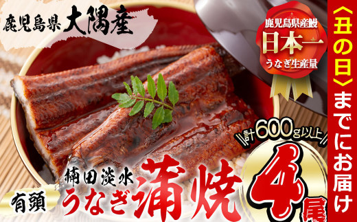【丑の日までに配送】楠田の極うなぎ 蒲焼き150g以上×4尾(計600g以上) b6-011-us 1338869 - 鹿児島県志布志市