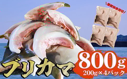 ブリカマ 切り落とし 800g 大容量 小分け 200×4 パック 国産 希少部位 ブリ ぶり 鰤 頭肉 塩焼き  煮付け 照り焼き ブリ大根 アクアパッツァ 人気 大満足 美味しい 魚介類 海鮮 バーベキュー BBQ  冷凍 肉厚 ふるさと納税 ふるさとチョイス 三重県 尾鷲市 OB-37
