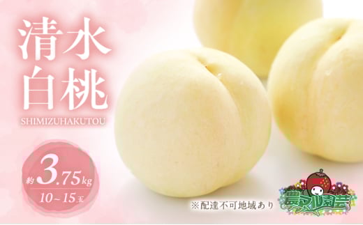 桃 2026年 先行予約 清水 白桃 約3.75kg 10～15玉 進物用 もも モモ フルーツ 果物 岡山 赤磐市産 農マル園芸 あかいわ農園 白鳳 家庭用 3.75キロ 