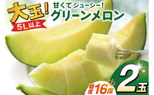 [期間限定発送]グリーンメロン 糖度16度 5L (約2.2kg以上)×2玉 [栗林FLOWER 長崎県 雲仙市 item1937] メロン 青肉 フルーツ 果物 期間限定