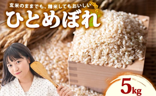 米 ひとめぼれ 新米 玄米 5kg お米 健康 ダイエット 米 日常 食卓 家庭用 ヒトメボレ 静岡県 牧之原市 もちもち あまい 食物繊維 ごはん 静岡県 牧之原市