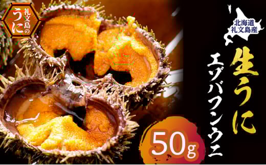 北海道 礼文島産 採れたて バフンウニ 塩水パック 50g×1 生うに 生ウニ 塩水うに 魚貝類 雲丹