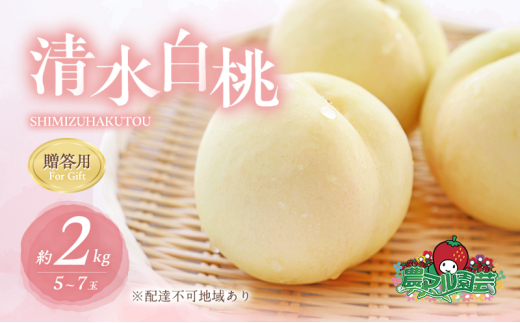 桃 2026年 先行予約 清水 白桃 約2kg 5～7玉 贈答用 もも モモ フルーツ 果物 岡山 赤磐市産 農マル園芸 あかいわ農園 白鳳 