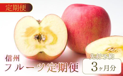 [2025年先行予約][定期便3回] シャインマスカット 2~3房(約1~1.2kg)/1回 信州りんごの詰合せ 約3kg(8~11玉)/1回 サンふじ 約5kg(10~18玉)1回 果物 フルーツ 長野県産 千曲市 信州
