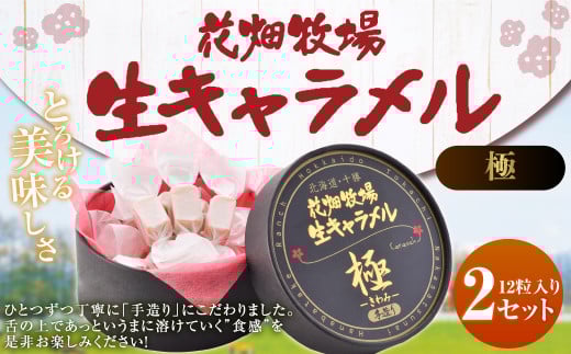 花畑牧場 生キャラメル （極 -きわみ-） 12粒入り×2セット キャラメル お菓子 おやつ マヌカハニー マヌカはちみつ 冷蔵 [002-0086]