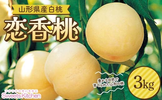【スイーツキッチン】山形県産 白桃 恋香桃(れんかとう) 3kg(12～16玉前後) 硬め 2025年7月中旬から順次発送 F2Y-6280 2120715 - 山形県山形県庁