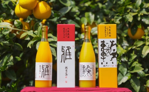 愛媛県産 果汁100％みかんジュース2本入りセット（清見・ナダオレンジ） 【 ふるさと納税 人気 おすすめ ランキング みかん ミカン 蜜柑 蜜柑ジュース みかんジュース ミカンジュース 柑橘 愛媛県産 セット 清見 ナダオレンジ 愛媛県 伊方町 送料無料 】 IKTC011