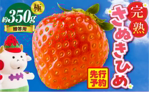 贈答用 完熟さぬき姫 極み 約350g | いちご 苺 さぬき姫 さぬきひめ 香川県オリジナル 希少 甘い 完熟 フルーツ 果物 旬 香川県 三木町 |_mk035-003 783261 - 香川県三木町
