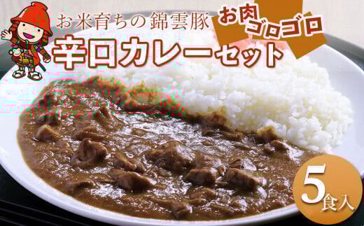 錦雲豚カレー辛口 たっぷり 5食 セット | レトルトカレー レトルト 惣菜 おかず 国産 九州産 大分県産 中津市 ブランド豚 豚肉 送料無料 772371 - 大分県中津市