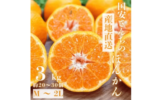 ＜南国を感じさせる独特の香り＞愛媛ポンカン 3kg＜C20-60＞【1620341】