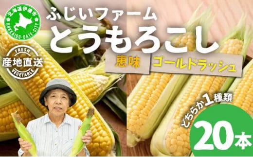 [5525-0486]北海道産 とうもろこし 恵味 ゴールドラッシュ 20本 Lサイズ トウモロコシ とうきび コーン スイートコーン 先行受付 新鮮 朝採り 産地直送 国産 野菜 農作物 甘い めぐみ 人気 BBQ ふじいファーム  送料無料