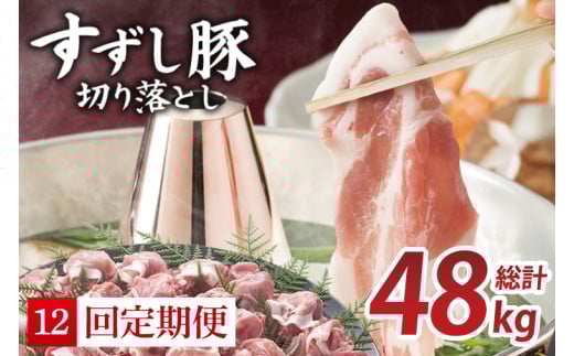 【12回定期便】【田中農場のすずし豚】 切り落とし 約4kgセット｜肉 お肉 豚肉 切り落とし すずし豚 ブランド 定期便 お肉定期便 茨城県 行方市(M-13) 2145208 - 茨城県行方市