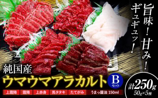 馬刺し 純国産 ウマウマ アラカルト Bセット（たてがみ） 専用醤油付き 50g ×5種 計250g 有限会社九州食肉産業《30日以内に出荷予定(土日祝除く)》熊本県 産山村 純国産 馬刺し 国産 熊本肥育 馬刺 馬肉 詰め合わせ 贈答用 ギフト お中元 お歳暮 1498019 - 熊本県産山村