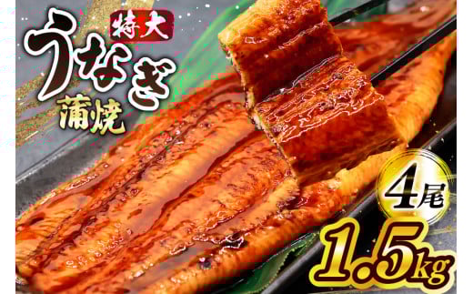 うなぎ 蒲焼 特大サイズ 肉厚 約 1.5kg 4尾 タレ・山椒付 茶葉蒸し [大黒物産 福岡県 宇美町 um40bak830002] 鰻 ウナギ 小分け うなぎ蒲焼 鰻蒲焼き 訳あり 蒲焼き かば焼き 茶葉蒸しうなぎ 真空パック 個包装 冷凍 unagi