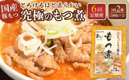【定期便６カ月】国産豚もつ使用！とろけるほど柔らかい究極のもつ煮  500g×2袋