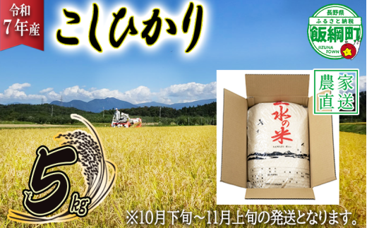 【 2025年10月下旬 ～ 2025年11月上旬 発送企画 】 米 こしひかり 5kg ( 令和7年産 ) 沖縄県への配送不可 2025年10月下旬頃から2025年11月上旬頃まで順次発送予定 株式会社マッシュアンドフルーツ コシヒカリ 白米 精米 お米 信州 予約 農家直送 長野県 飯綱町 [2013]