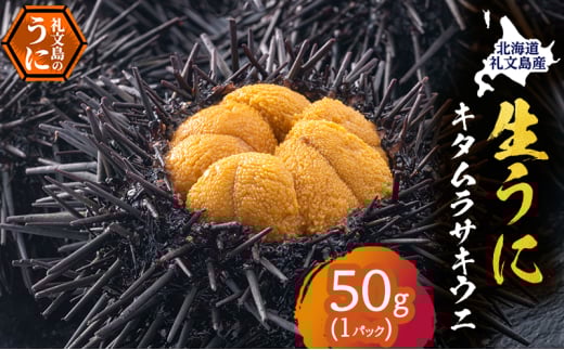 北海道 礼文島産 採れたて キタムラサキウニ 塩水パック 50g×1 生うに 生ウニ 塩水うに 魚貝類 雲丹 2104838 - 北海道礼文町