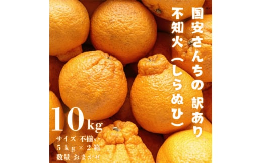 ＜糖度14.0以上酸1.4以下＞糖酸選別品 愛媛産 訳あり不知火(しらぬひ)10kg＜F20-63＞【1620233】