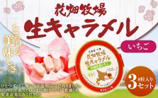花畑牧場 生キャラメル 北海道産いちご 8粒入り×3セット キャラメル お菓子 おやつ いちご 苺 ストロベリー 冷蔵 [002-0084]