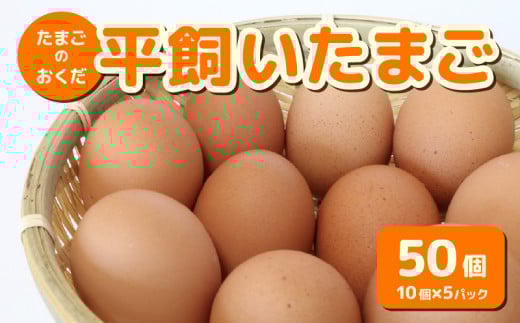 平飼い卵 50個入り (10個×5パック)【たまご 卵 タマゴ 鶏卵 たまごかけごはん TKG オムレツ 卵かけご飯 たまご焼き おいしい おすすめ 高知県 南国市】