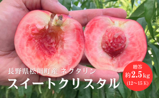 KM12-25A ネクタリン スイートクリスタル 約2.5kg （12～15玉）大小混在／7月下旬頃 発送 //長野県 南信州 松川町  ネクタリン 贈答 
