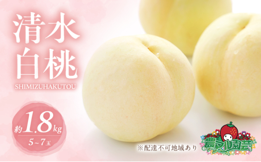 桃 2026年 先行予約 清水 白桃 約1.8kg 5～7玉 進物用 もも モモ フルーツ 果物 岡山 赤磐市産 農マル園芸 あかいわ農園 白鳳 家庭用 