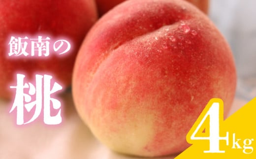 【2025年6月下旬より順次発送】 桃 約4kg 飯南の桃 もも モモ 果物 くだもの 果実 フルーツ 旬 旬の果物 デザート スイーツ おやつ ゼリー ジュース 人気果物 人気フルーツ ランキング 香川 丸亀