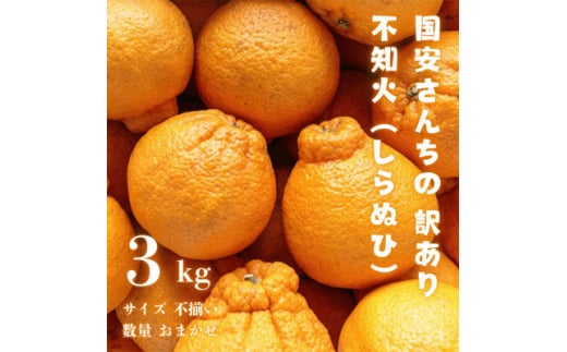 ＜糖度14.0以上 酸1.4以下＞糖酸選別品 訳あり 不知火 (しらぬひ) 3kg＜C20-58＞【1620248】