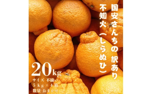 ＜糖度14.0以上酸1.4以下＞糖酸選別品 愛媛産 訳あり不知火(しらぬひ)20kg＜H20-62＞【1620231】