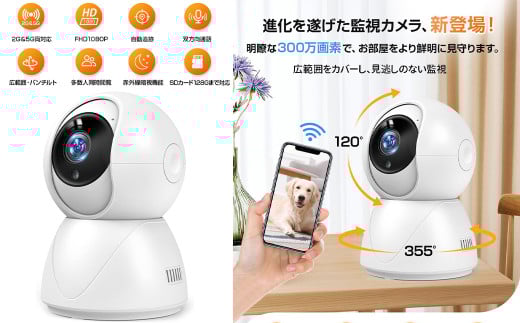 監視カメラ [11100-1647]