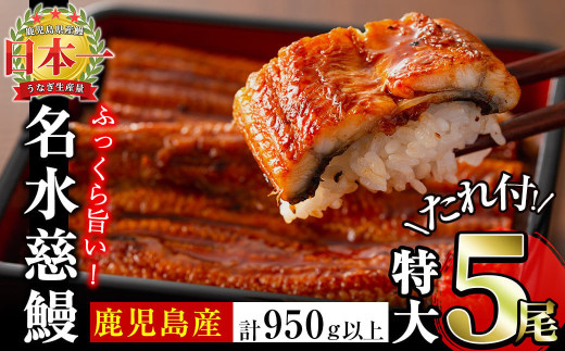 鹿児島県産うなぎ蒲焼 名水慈鰻 特大5尾(1尾190g以上)＜計950g以上＞ うなぎ 鰻 ウナギ 5尾 国産 九州産 蒲焼き かばやき 冷凍 うな重 ひつまぶし タレ 山椒 ランキング 人気 c5-035