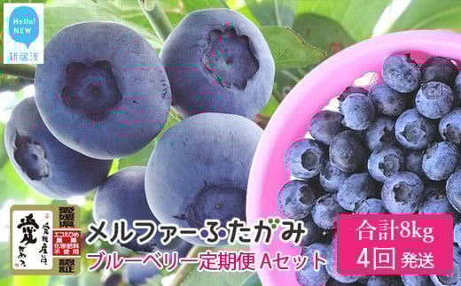 【定期便】 ブルーベリー三昧 Aセット（約8kg／4回発送）  完熟生ブルーベリー（8月中旬以降は冷凍ブルーベリー） エコえひめ認証