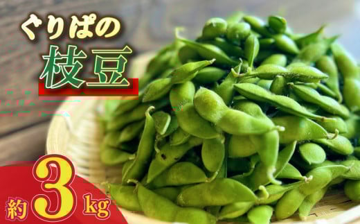 大容量 枝豆 3kg えだまめ エダマメ 豆 おつまみ 酒 陽恵 新鮮 朝採れ 野菜 茶豆 ずんだ ずんだもち お中元 グルメ ギフト 静岡県 牧之原市 もろこしショップ ぐりぱ