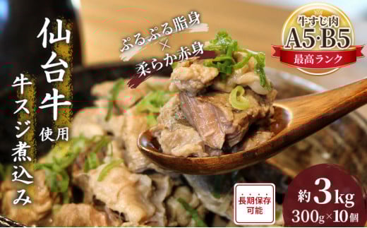 牛すじ煮込み 3kg (300g×10個) セット 詰め合わせ 仙台牛 国産 牛 国産牛 国産牛肉 牛肉 肉 お肉 牛すじ 牛筋 煮込み 惣菜 化学合成添加物不使用 保存料不使用 湯煎 湯せん ボイル 牛すじ肉 すじ肉 ご飯のお供 ごはんのお供 宮城 宮城県 岩沼市 [№5704-0859] 1538642 - 宮城県岩沼市