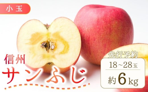 【2025年先行予約】りんご サンふじ 小玉 約6kg (18~28玉)  林檎 果物 フルーツ 長野県産 千曲市 信州 2037634 - 長野県千曲市