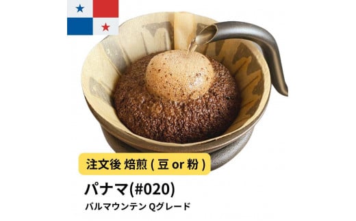 [粉]コーヒー #020 パナマ バルマウンテン Qグレード 310g 当日焙煎 大山珈琲
