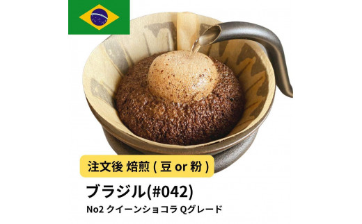 [豆]コーヒー #042 ブラジル No2 クイーンショコラ Qグレード 310g 当日焙煎 大山珈琲