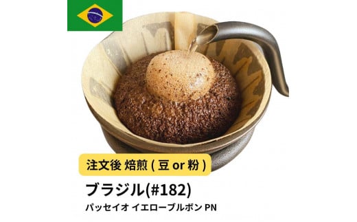 [粉]コーヒー #182 ブラジル パッセイオ イエローブルボン PN 310g 当日焙煎 大山珈琲