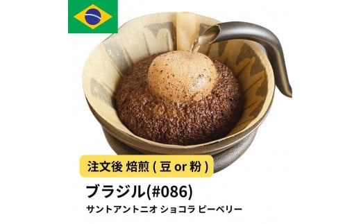 [豆]コーヒー #086 エスプレッソ ブラジル サントアントニオ ショコラ ピーベリー 310g 当日焙煎 大山珈琲