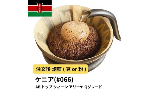 [粉]コーヒー #066 ケニア AB トップ クィーン アリーヤ Qグレード 310g 当日焙煎 大山珈琲