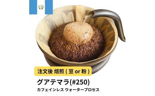 [粉]コーヒー #250 グアテマラ デカフェ ウォータープロセス 310g 当日焙煎 大山珈琲