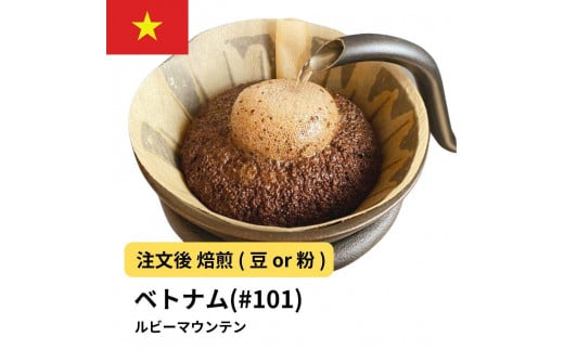 [豆]コーヒー #101 ルビーマウンテン (ベトナム アラビカ) 310g 当日焙煎 大山珈琲