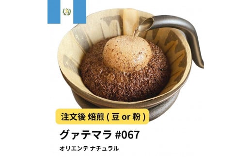 [粉]コーヒー #067 グアテマラ オリエンテ ナチュラル 310g 当日焙煎 大山珈琲