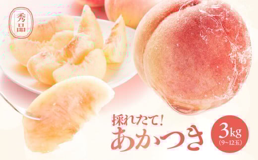 長野県産 桃 (あかつき) 約3kg 秀品
