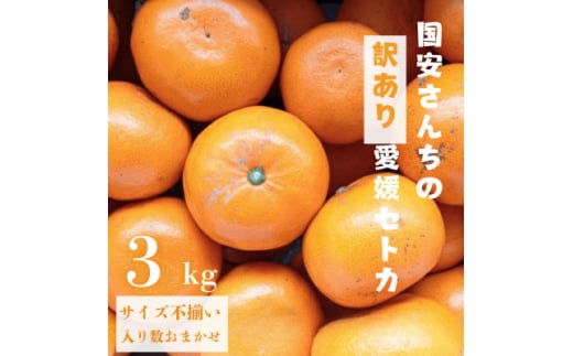 蜜入りりんご『ちょっと訳ありこみつ』秀A品(白箱) 青森県石川